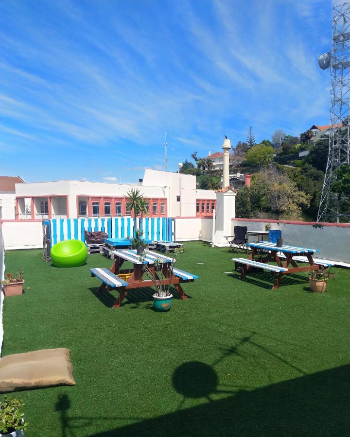 Crashpalace Backpackers نابيير المظهر الخارجي الصورة